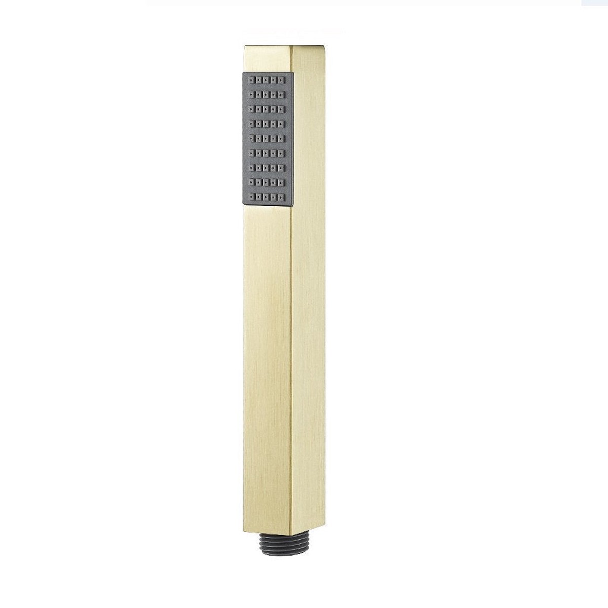 Devon Hand Shower - Wall Mount - 9" Abs/Satin Brass